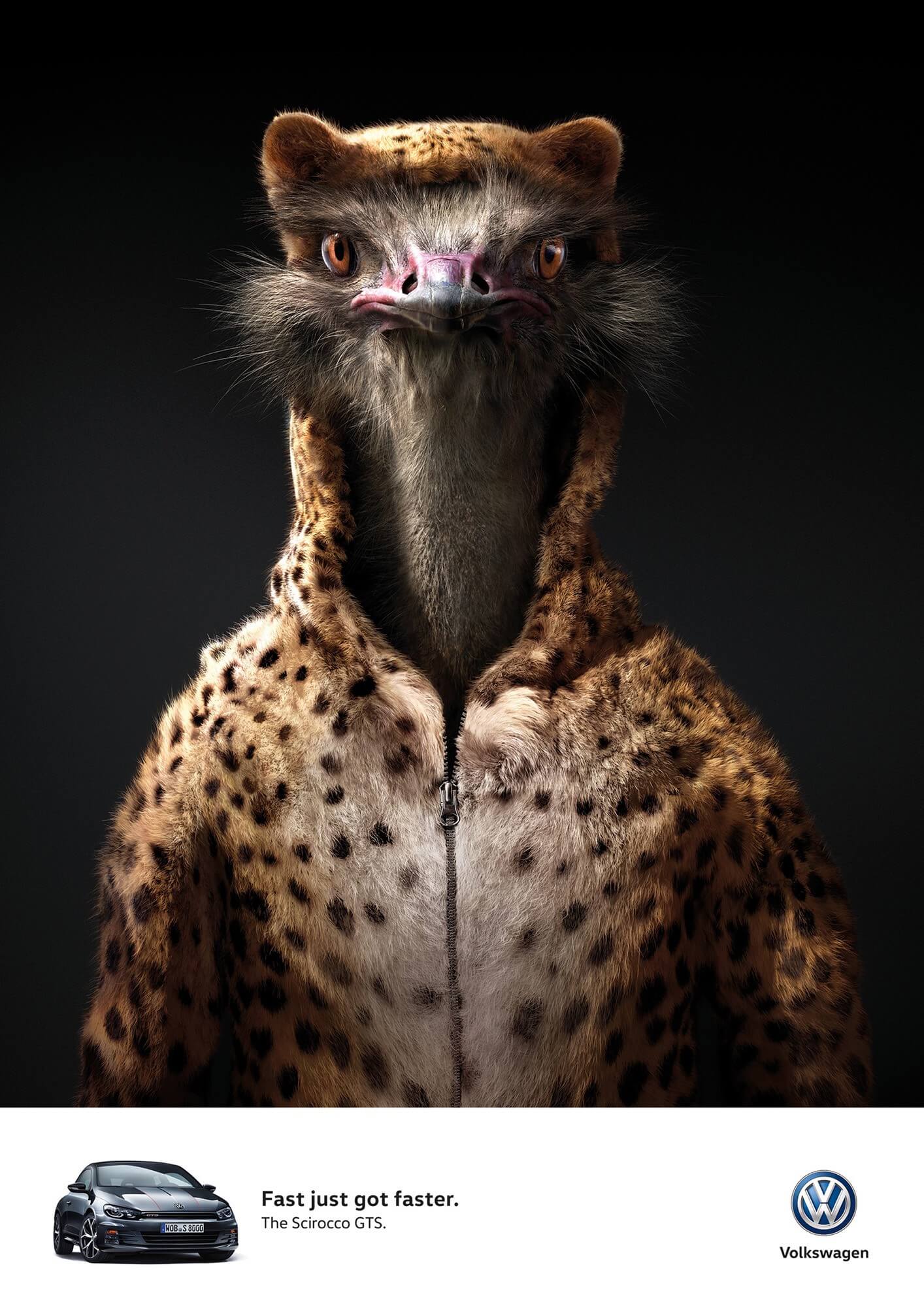 aotw_rgb_ostrich_en_aotw_2000px
